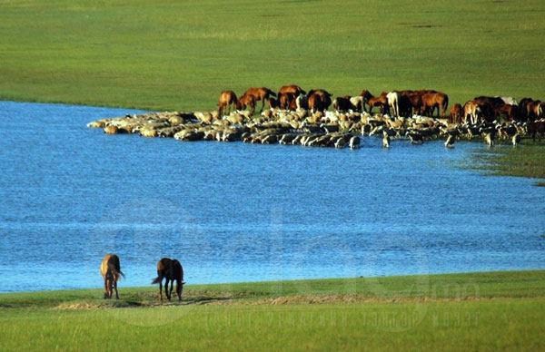 Монголын үнэртэй салхи